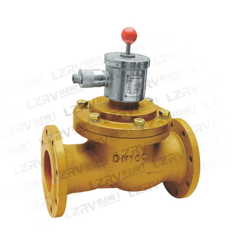 燃气安全电磁阀(？)